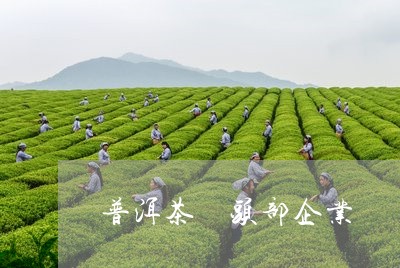 普洱茶 头部企业/2023032958370